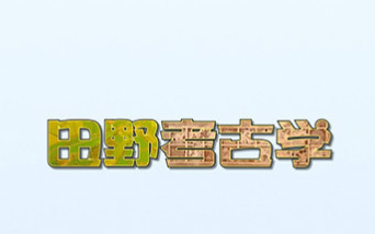 田野考古学吉林大学主讲赵宾福 56讲哔哩哔哩bilibili