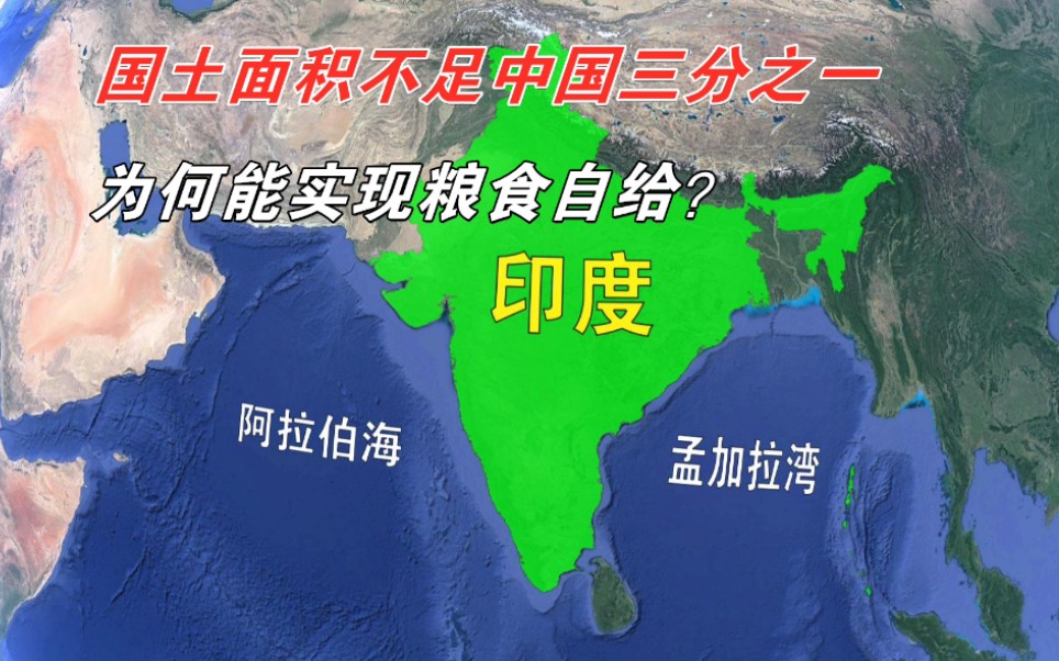 印度人口众多,国土面积不足中国三分之一,为何能实现粮食自给?