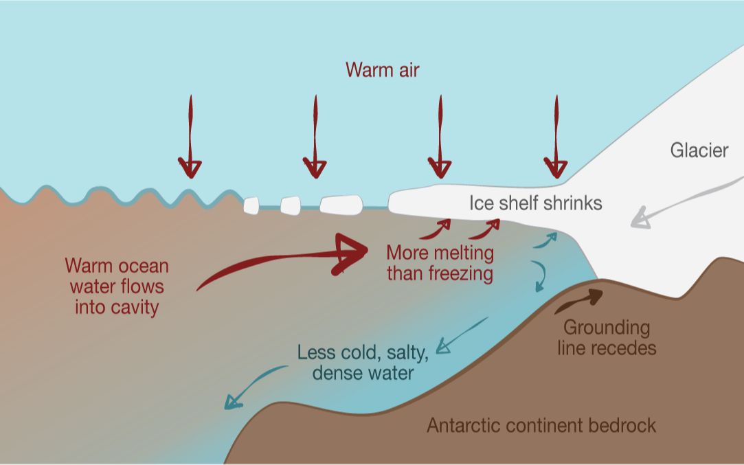 【英文字幕】冰川是如何融化的How Glaciers melt哔哩哔哩bilibili