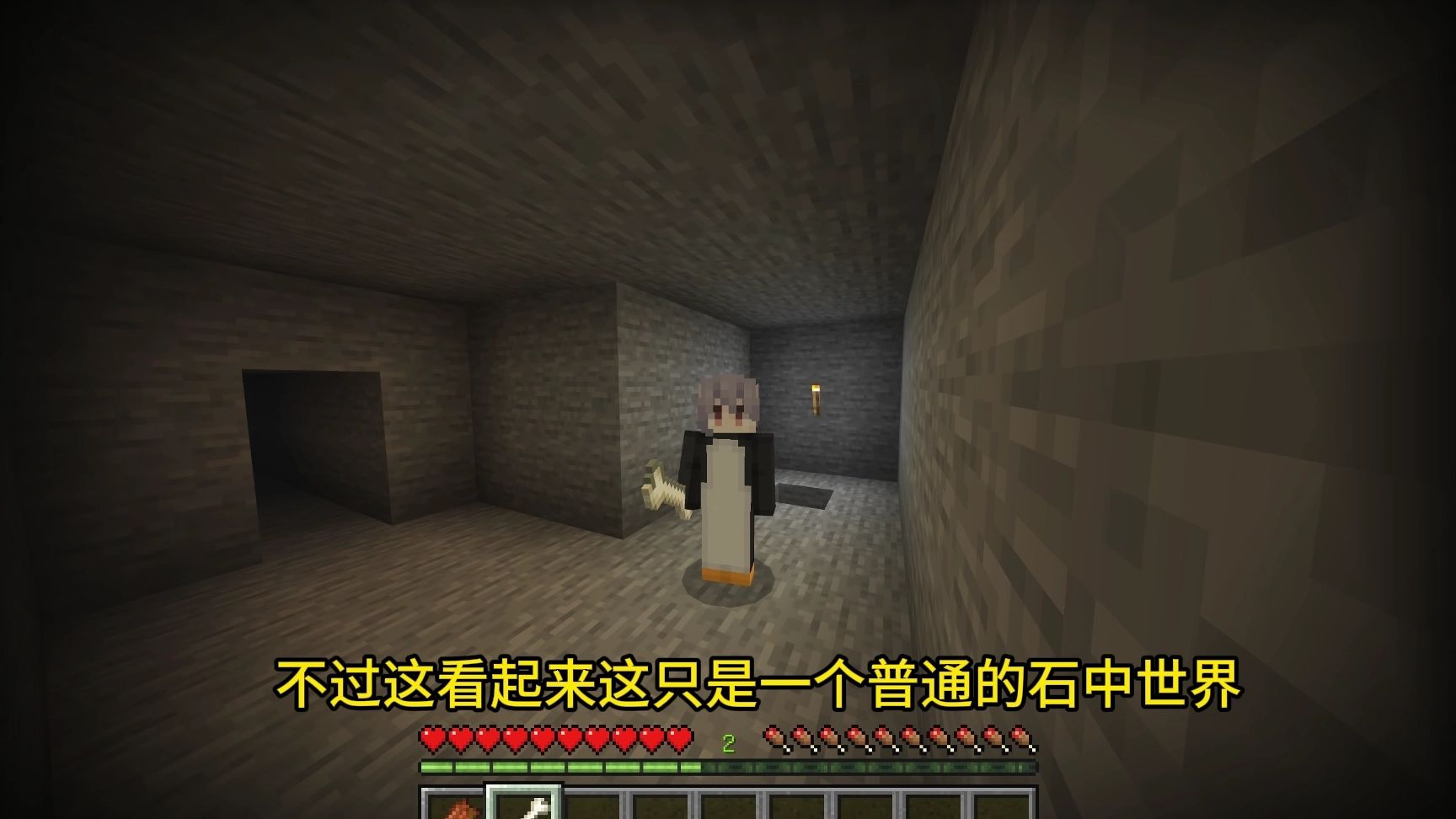 MC最诡异的石中世界？？