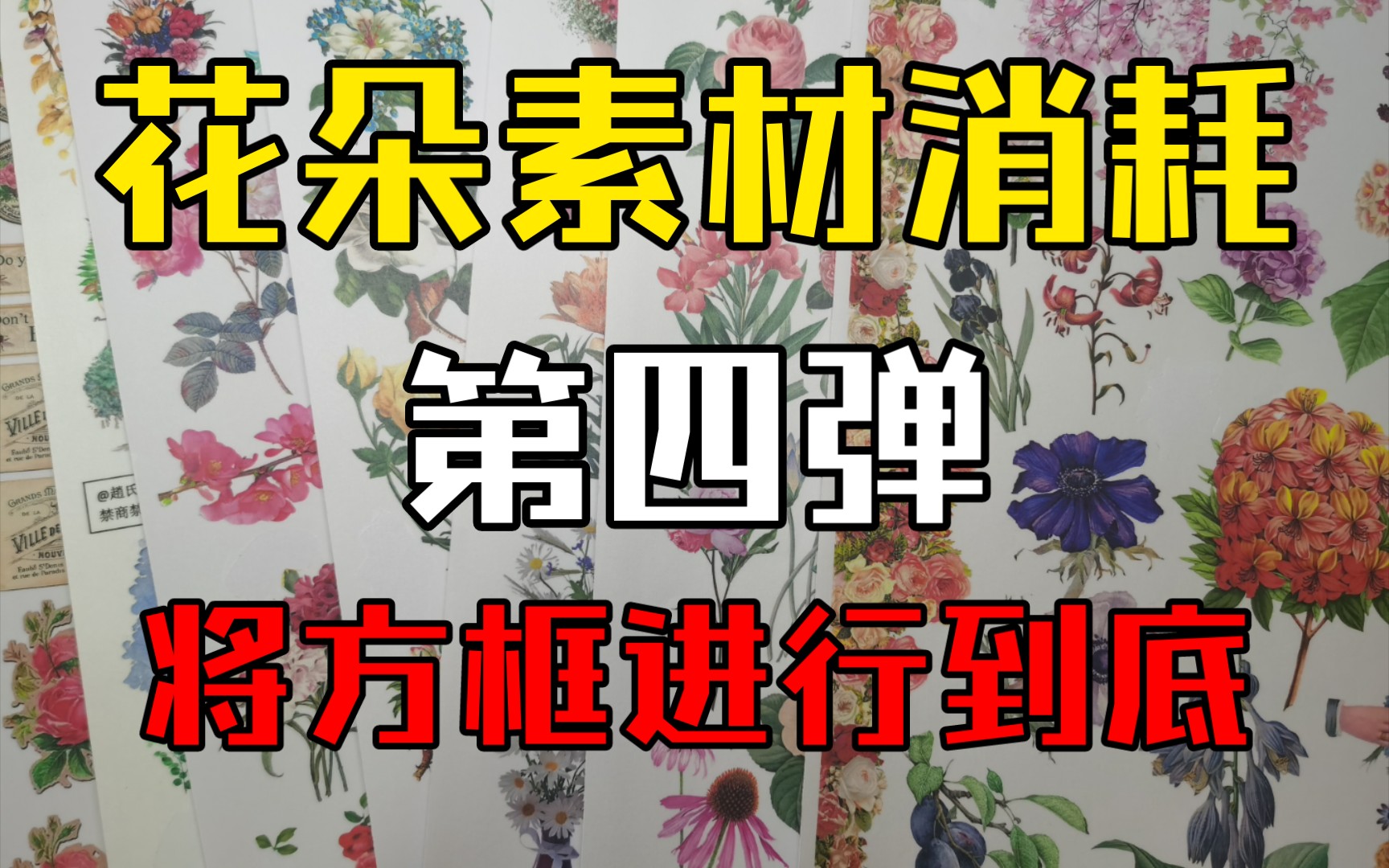 【手帐】花朵素材消耗 第四弹|白噪音|将方框进行到底|小辣鸡胶带|异形胶带|大家来唠嗑哔哩哔哩bilibili