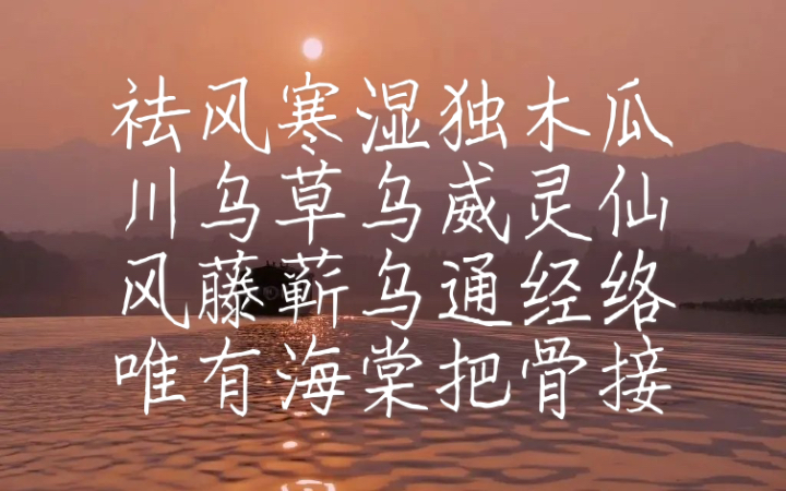 中药背诵歌诀|祛风湿药哔哩哔哩bilibili