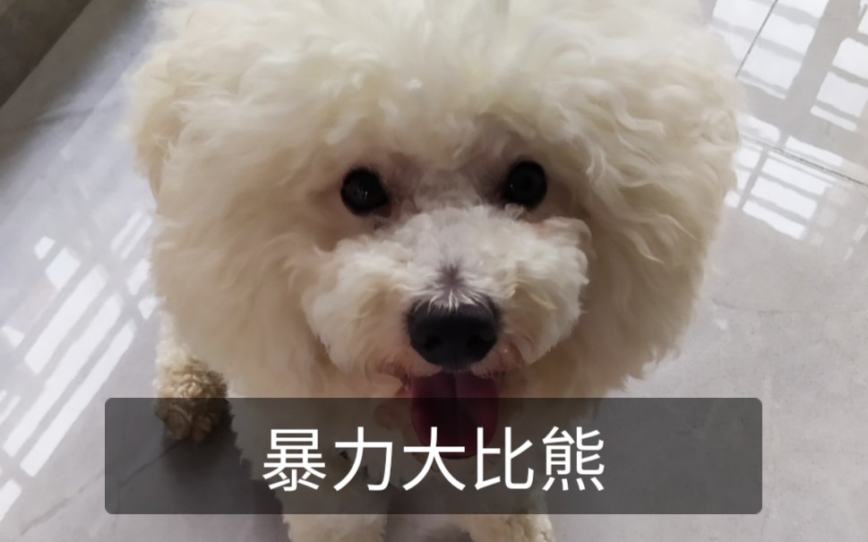活动作品大比熊暴力扣屎尿板大力出奇迹
