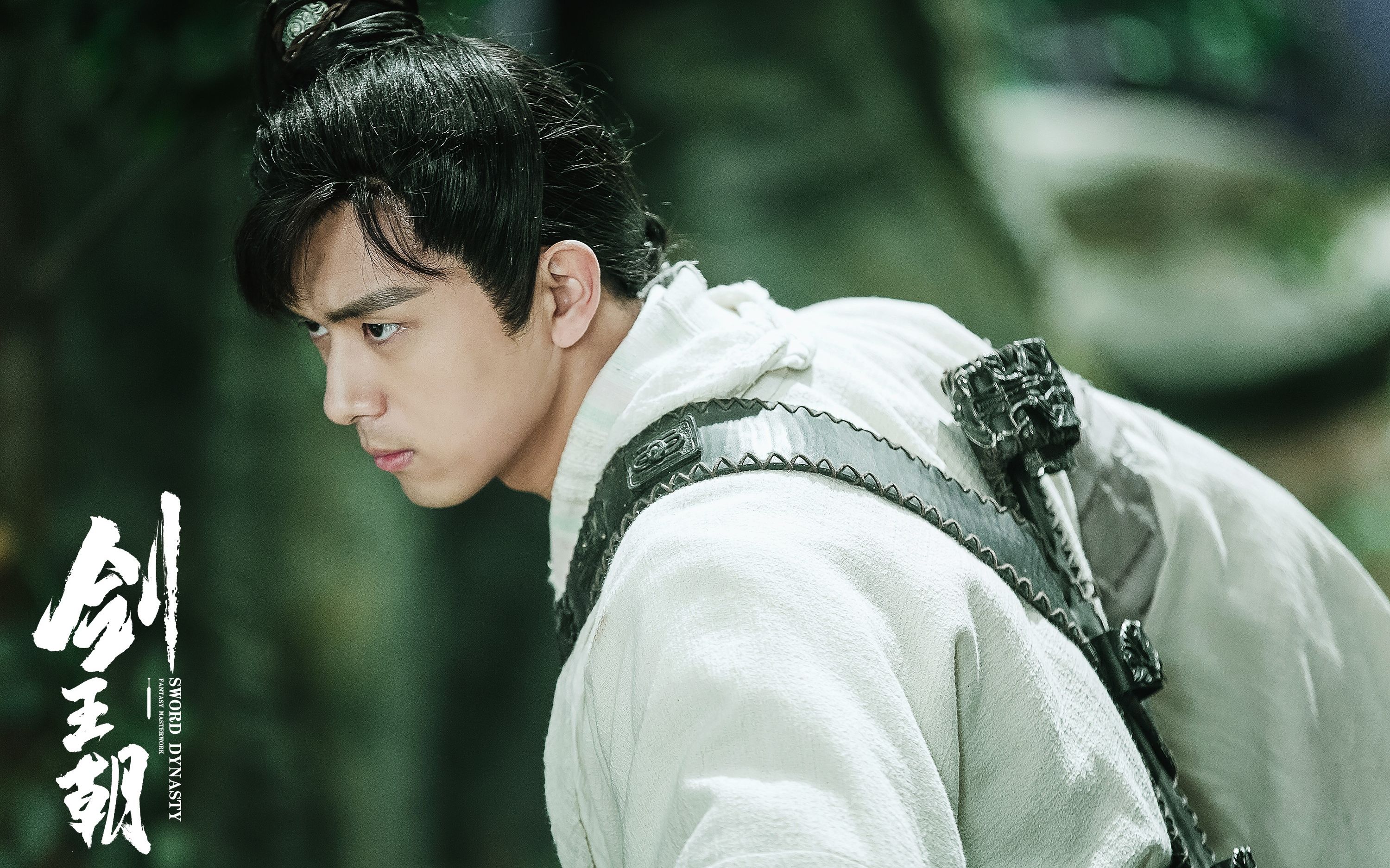 [李现] 《剑王朝》片花合集