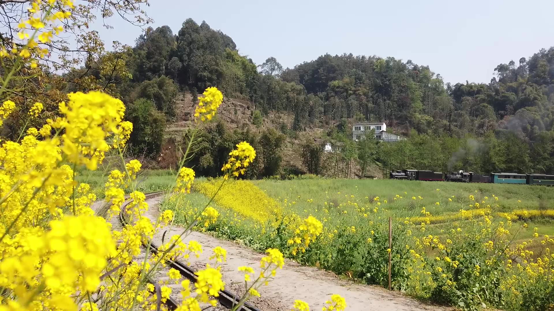 言辰昊和神奇旅行社剪辑花絮哔哩哔哩bilibili