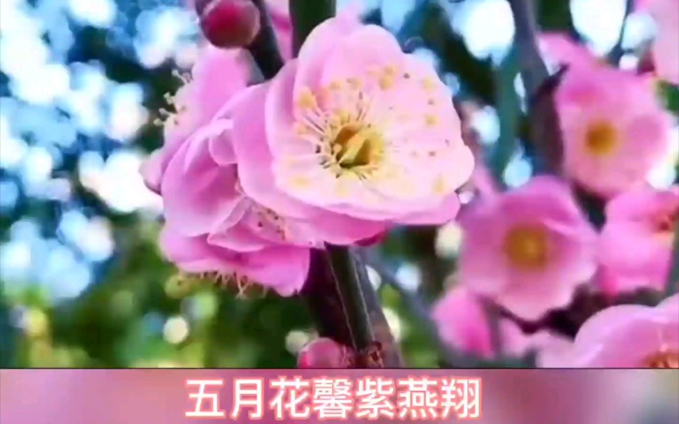 [图]五月赞歌 致劳动节