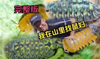 Download Video: 我在山里找鼠妇，完整版一次看个够