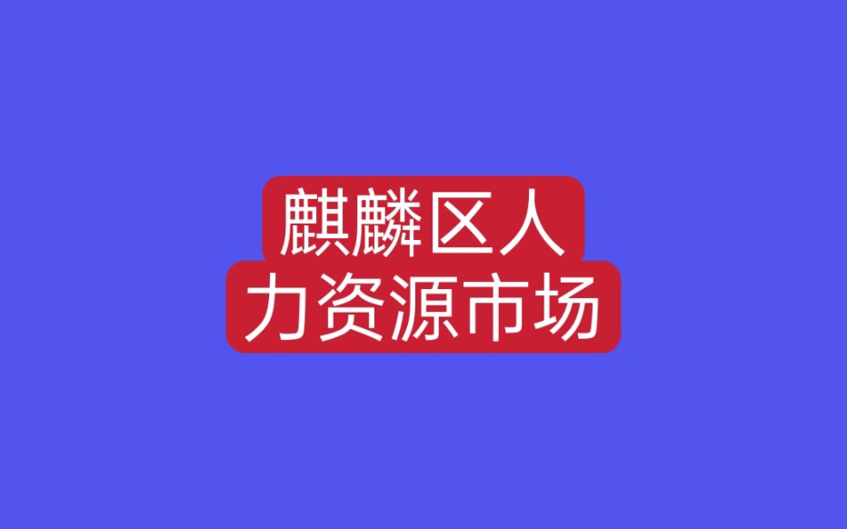 过完年都出来找工作了,实拍云南曲靖麒麟区人力资源市场,人很多哔哩哔哩bilibili