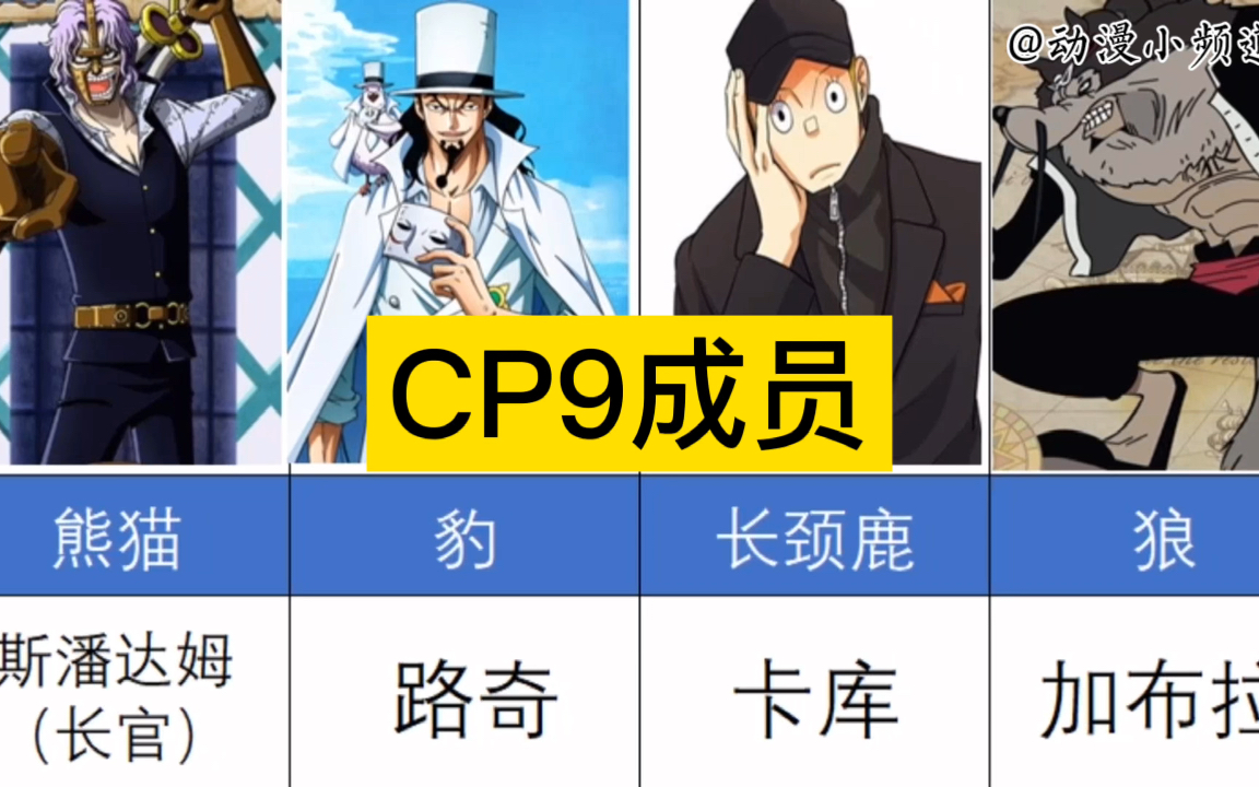 【海贼王】CP9主要成员以及所代表的动物哔哩哔哩bilibili