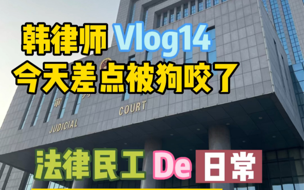 韩律师的 Vlog14 ,今天差点被狗咬了.哔哩哔哩bilibili