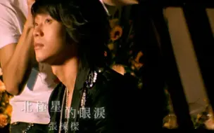 Download Video: 北极星的眼泪MV - 张栋梁  （《王子》2007）