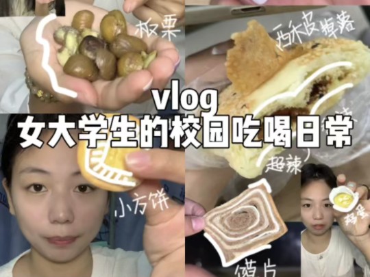 校园生活vlogⅠ回到学校的生活就是忙碌的哔哩哔哩bilibili