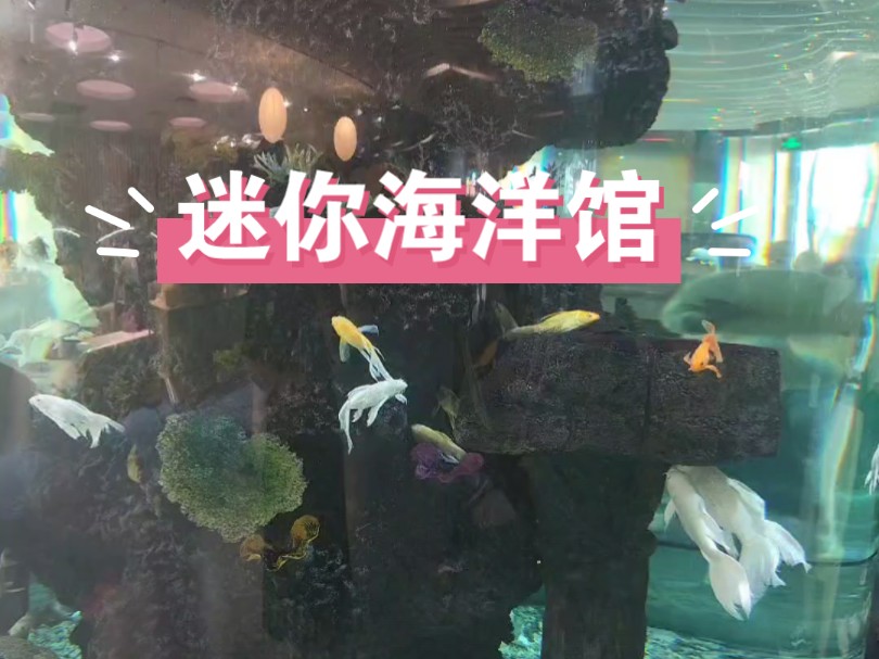 地铁一号线天隆寺直达,雨花客厅负一楼!
