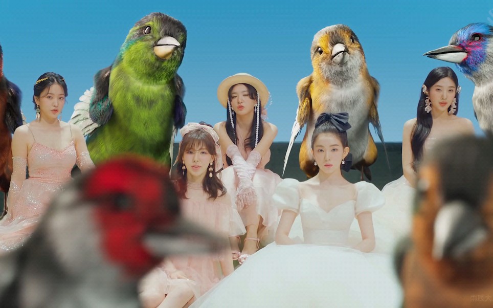 全员集结!红贝贝来了