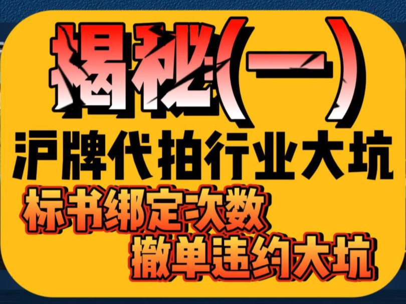 揭秘沪牌代拍行业常见套路之标书绑定哔哩哔哩bilibili