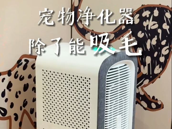 舒乐氏C01宠物净化器哔哩哔哩bilibili