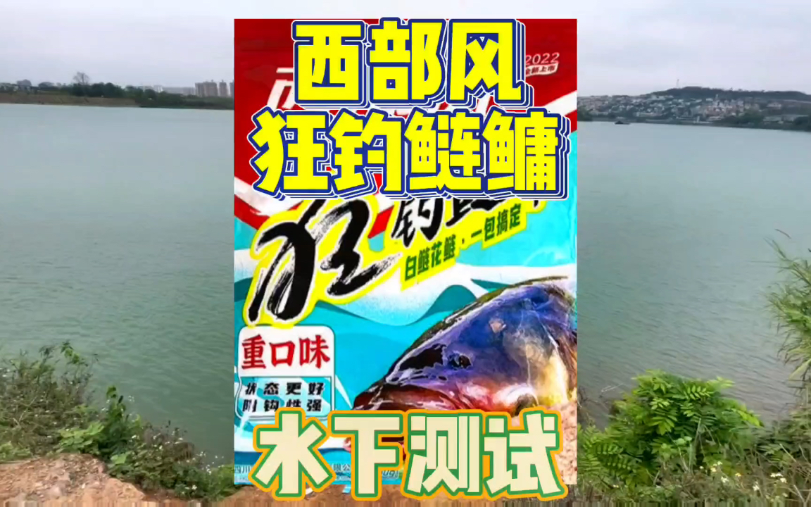 西部风狂钓鲢鳙水下测试 在邕江用这款饵料轻松爆户哔哩哔哩bilibili