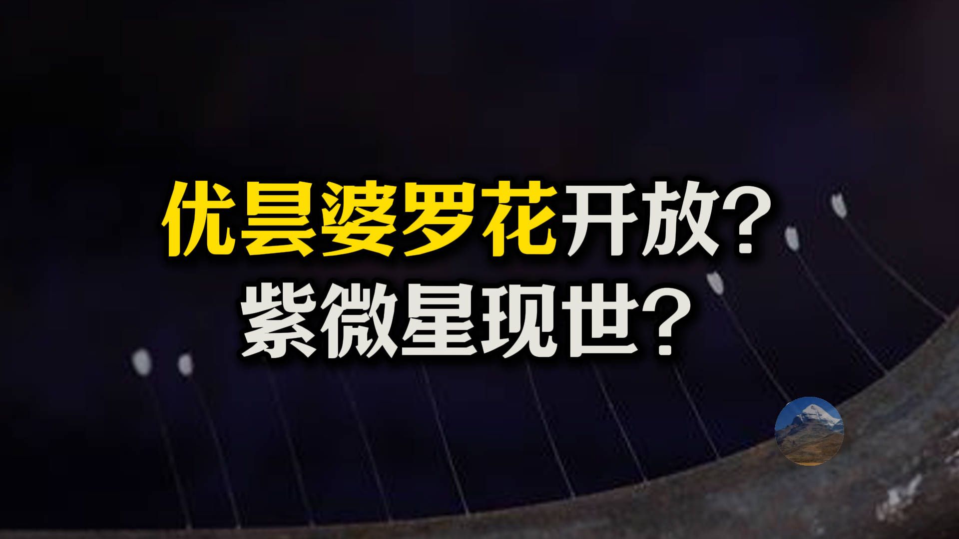 优昙婆罗花开了?“紫微星”要现世了吗?啥是优昙婆罗花?真的存在这种花吗?哔哩哔哩bilibili