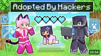 Adopted By PRO HACKERS In Minecraft!