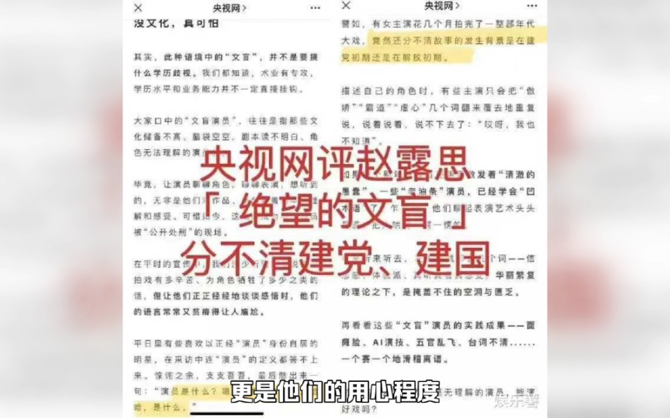 央视网删除赵露思所有相关内容,绝望的文盲能够演好戏吗?哔哩哔哩bilibili