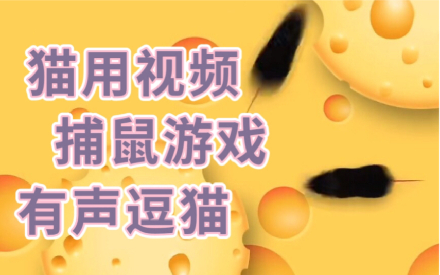 给猫看的视频 有声逗猫游戏 捕鼠游戏 亲测猫咪喜欢的游戏 猫用视频哔哩哔哩bilibili