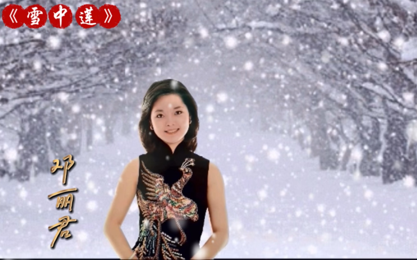 [图]【怀旧经典】邓丽君经典歌曲《雪中莲》完美声线 让人难忘