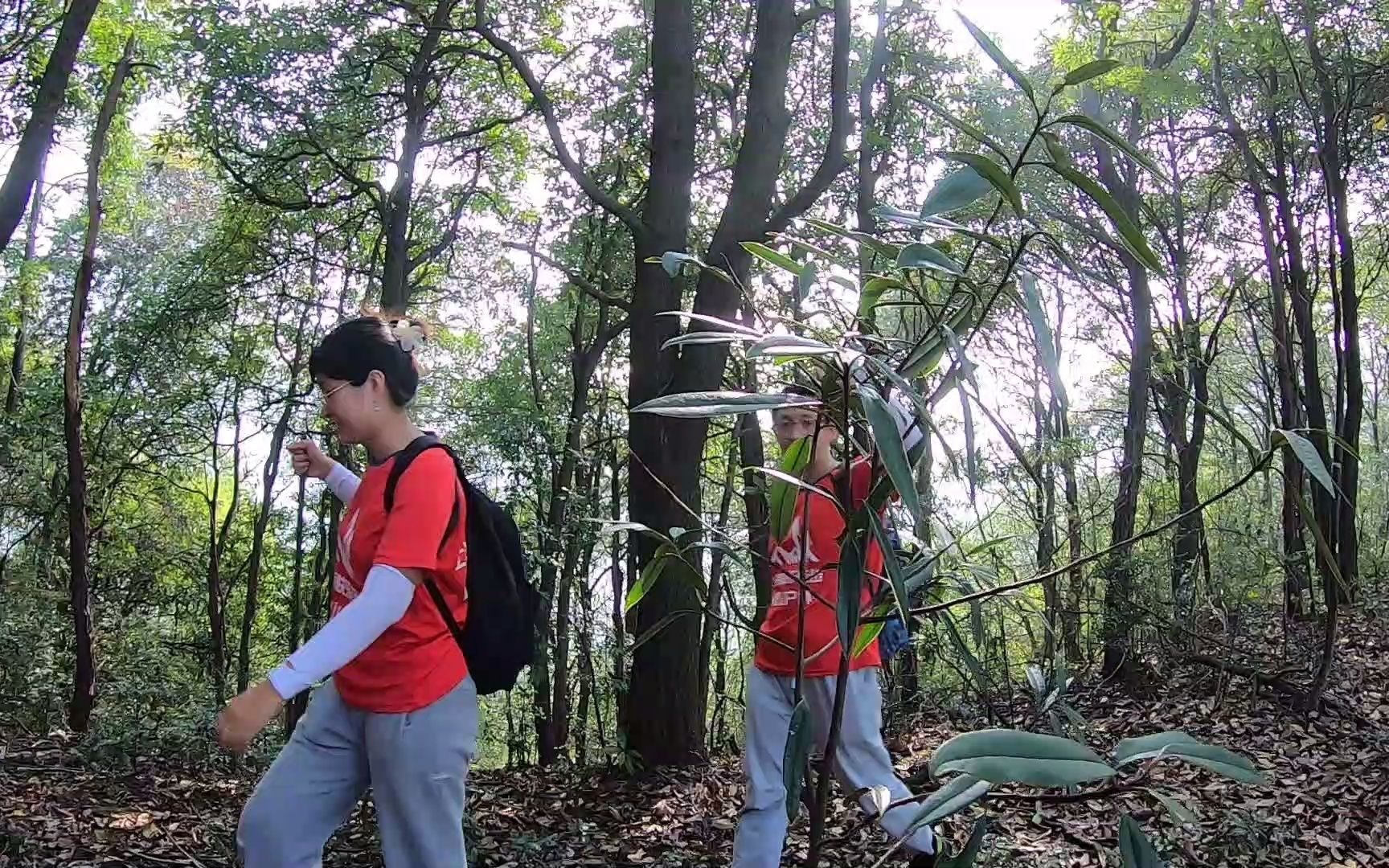 周末上海周边最美的地方旅游健身 上清古道6上海快乐徒步爬山户外哔哩哔哩bilibili