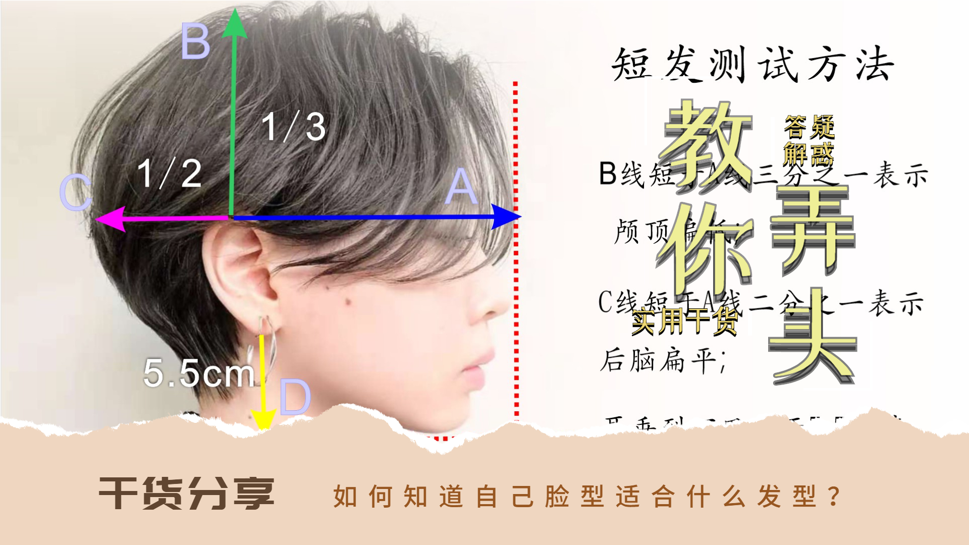 教你根据脸型选择发型,看完你就知道适合什么发型,超级实用哔哩哔哩bilibili