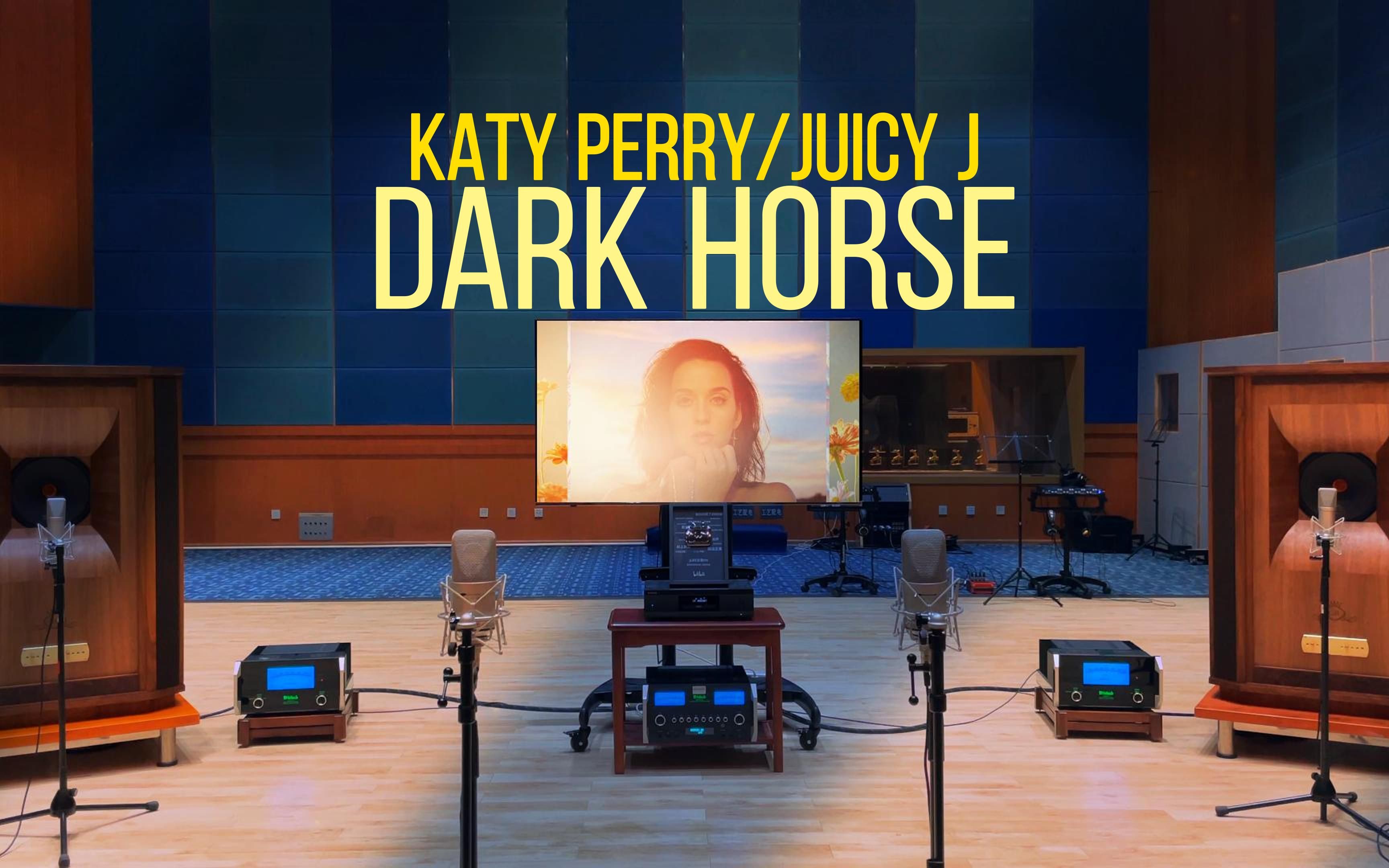 [图]百万级装备听《Dark Horse》- Katy Perry， Juicy J【Hi-Res】