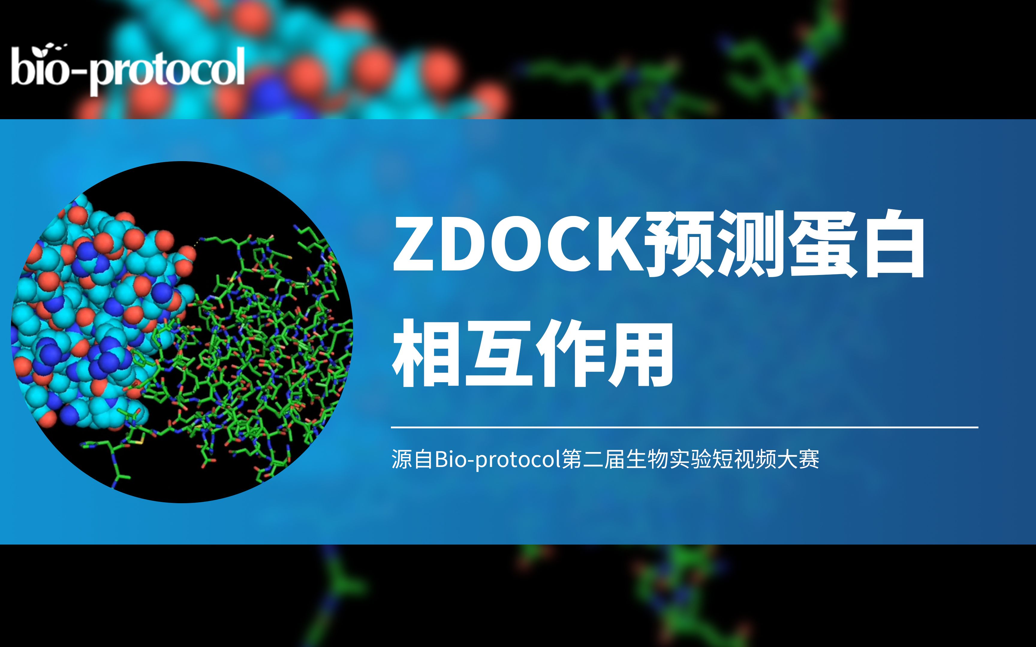 【短视频大赛】ZDOCK预测蛋白相互作用哔哩哔哩bilibili