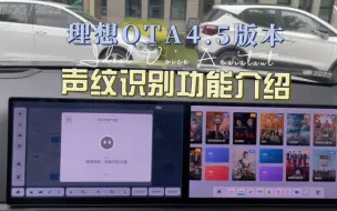 Скачать видео: 理想汽车OTA4.5版本理想同学声纹识别功能介绍