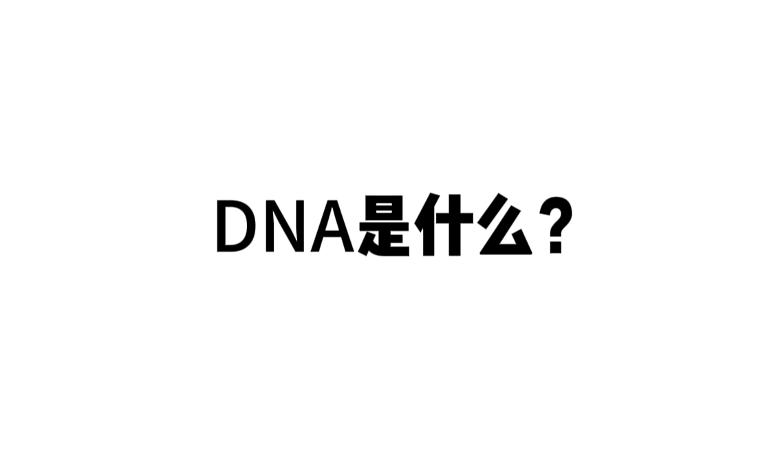 【有用的科普】DNA是什么哔哩哔哩bilibili