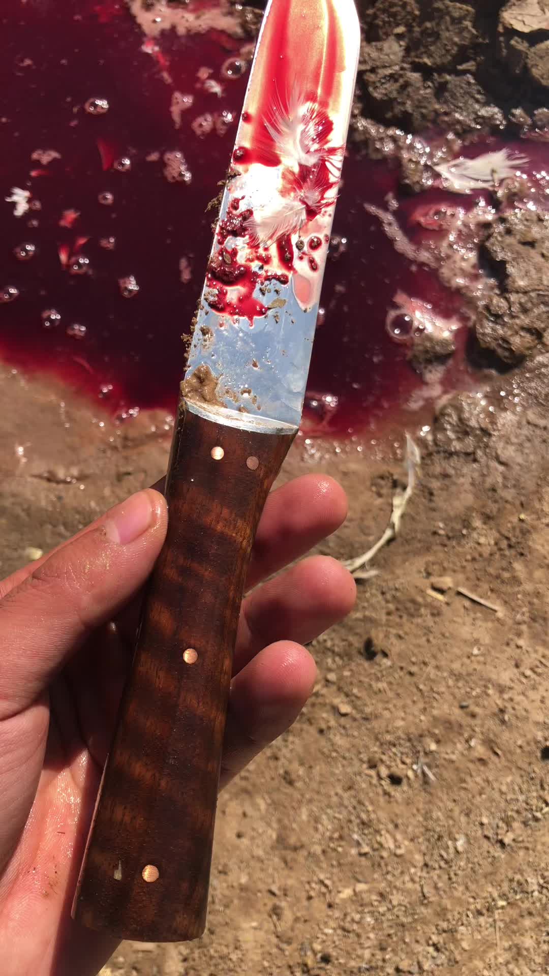 有真不沾血的刀嘛