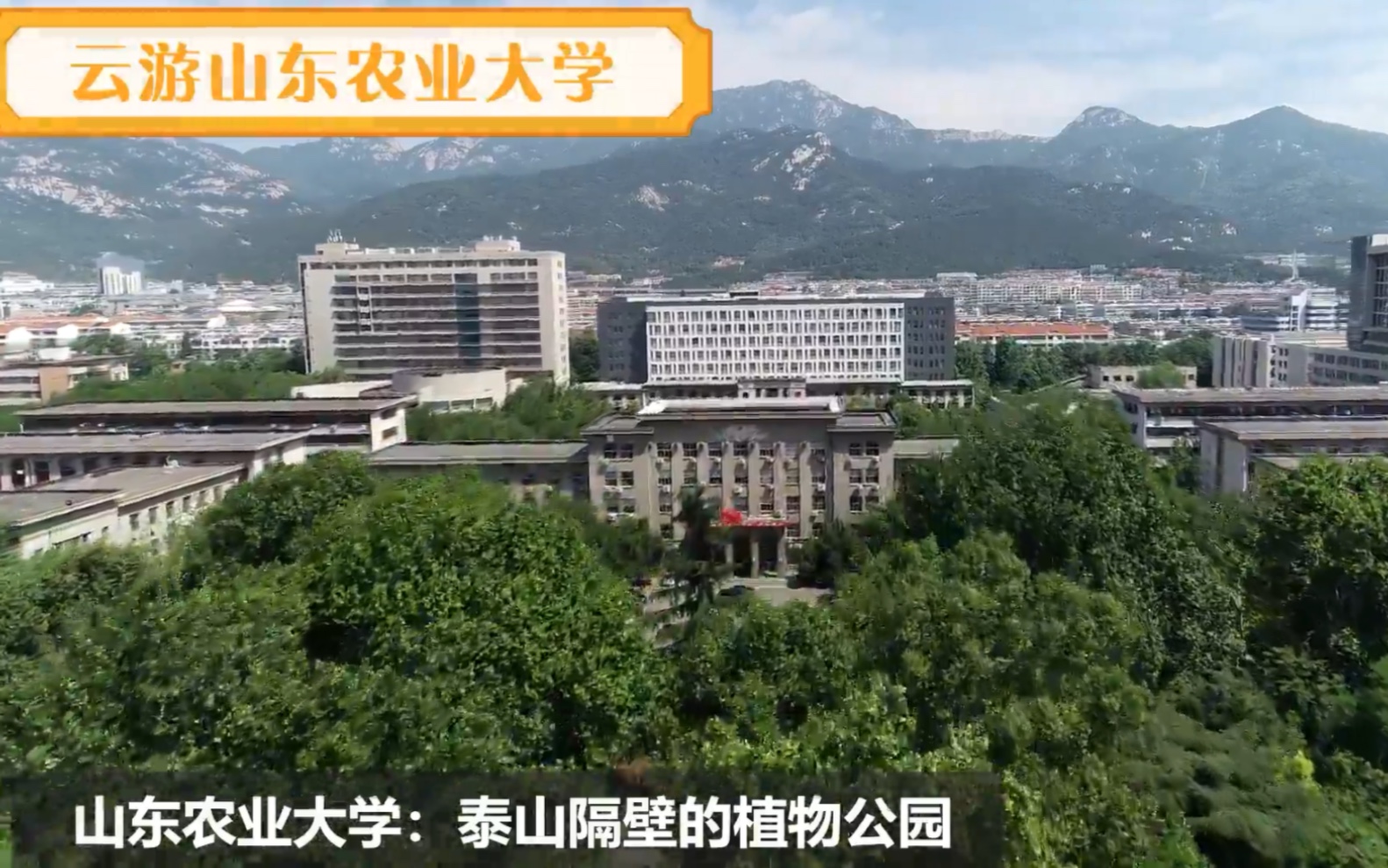 山东农业大学:泰山隔壁的“森林公园“哔哩哔哩bilibili