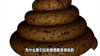 Video herunterladen: 为什么粑粑是棕色的