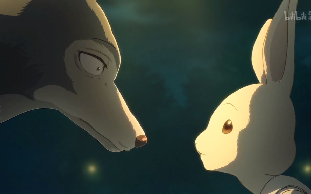 兔子爱上狼 全网资源