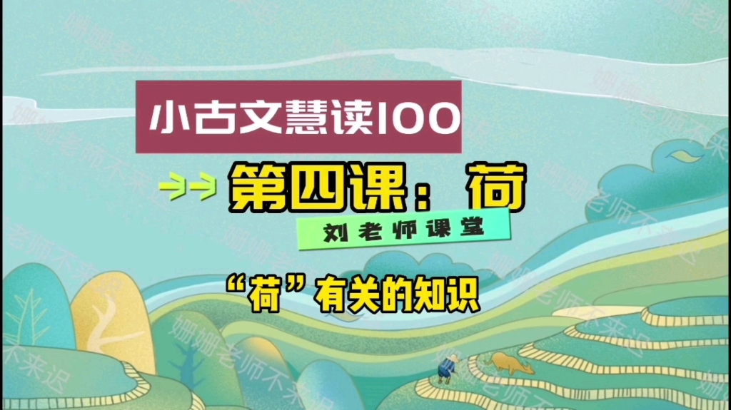 小古文慧读100:与“荷”有关的知识哔哩哔哩bilibili