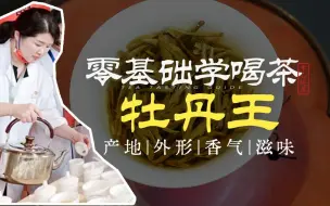 Descargar video: 【精品科普白茶入门】什么是白茶牡丹王 | 有实物有对比|年份|香气|滋味|零基础喝懂白茶白牡丹牡丹王！（干货分享，建议收藏）