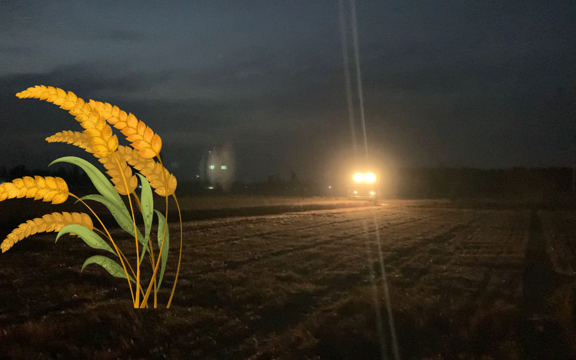 [图]中原粮仓，夏粮抢收中！到处都是金灿灿像是给大地母亲铺上一层厚厚的金色地毯！知否的万能配乐