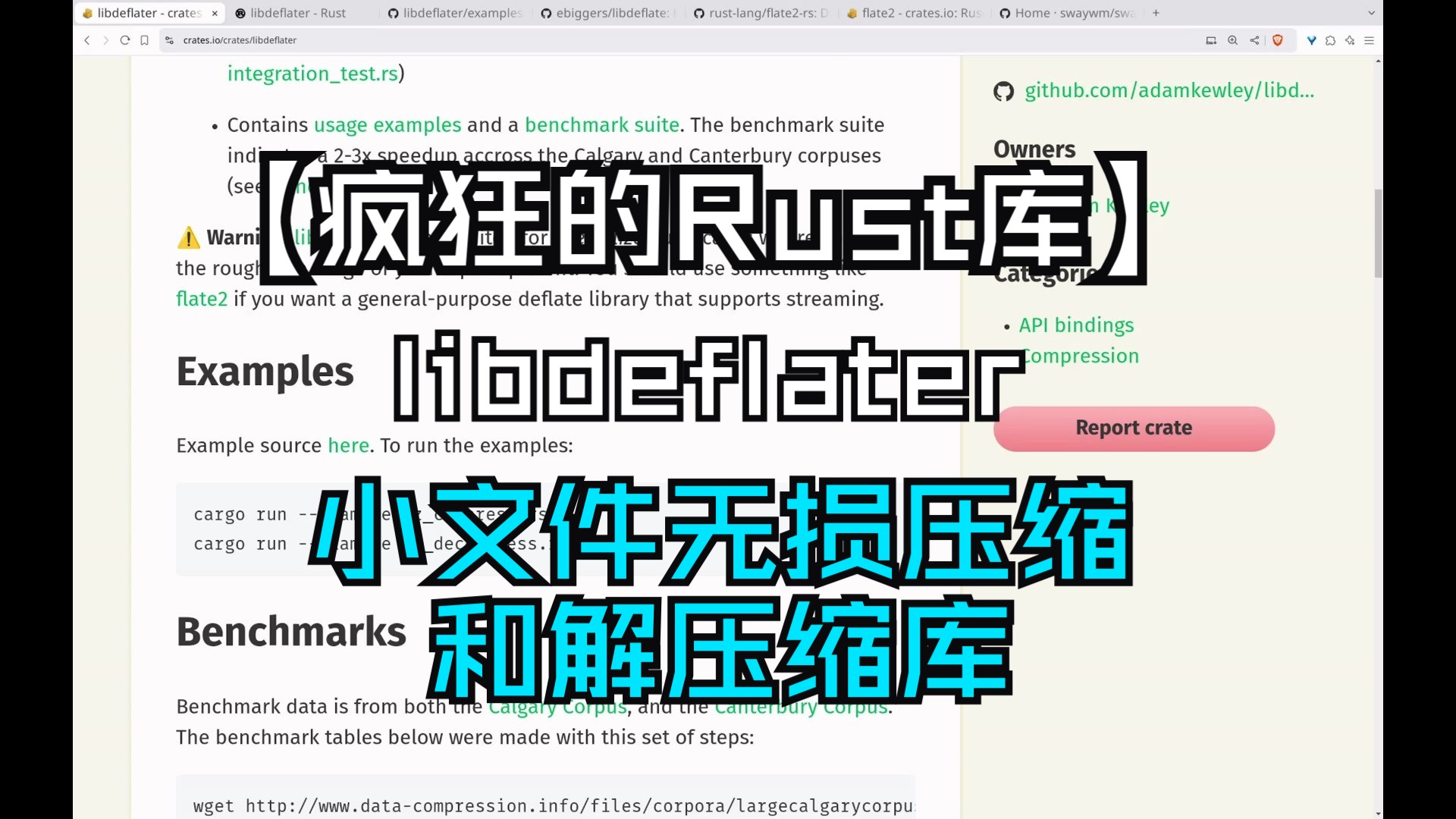 【疯狂的Rust库】libdeflater 小文件无损压缩和解压缩库哔哩哔哩bilibili