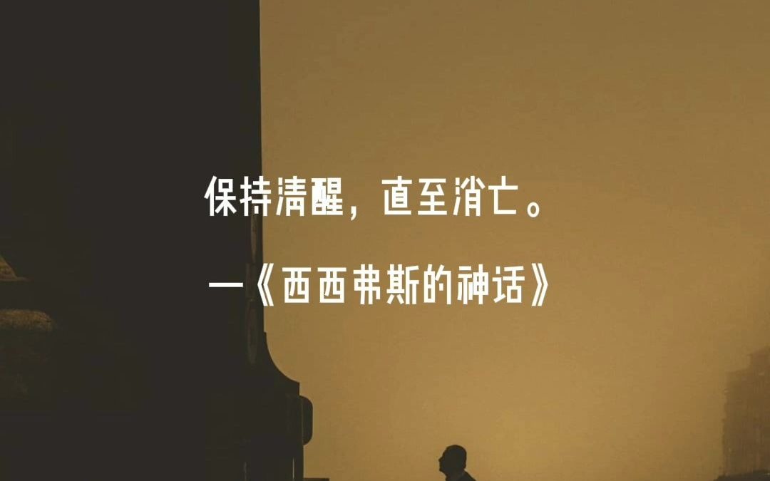 保持清醒直至消亡阿贝尔61加缪那些讽刺至极的名言