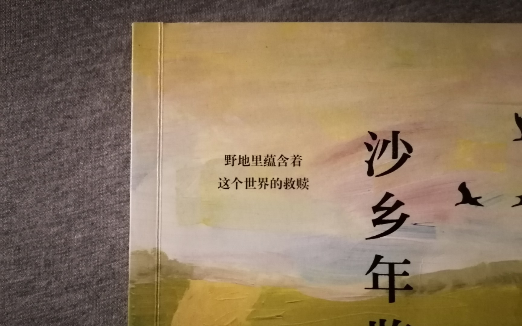 [图]温柔的深夜诵读———野地里蕴含着这个世界的救赎