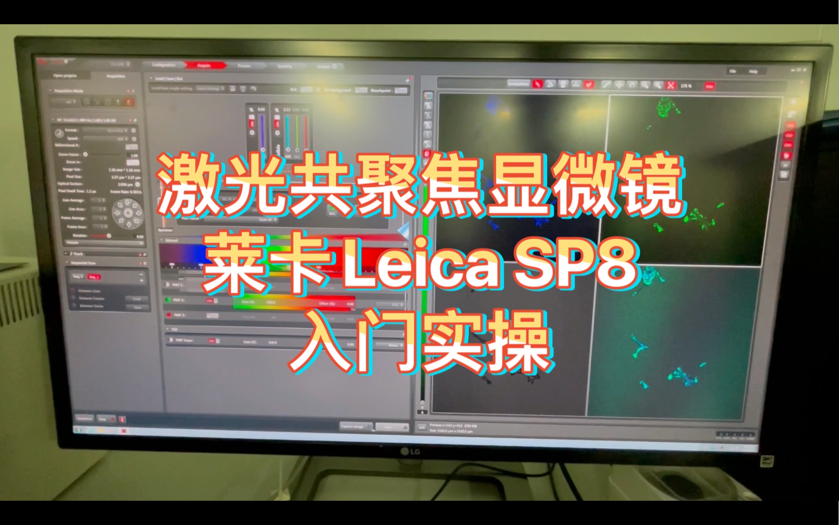 莱卡Leica SP8激光共聚焦显微镜入门实操哔哩哔哩bilibili