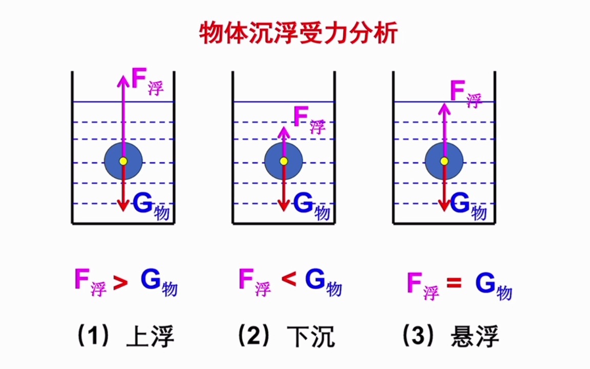 [图]浮力-物体的沉浮条件