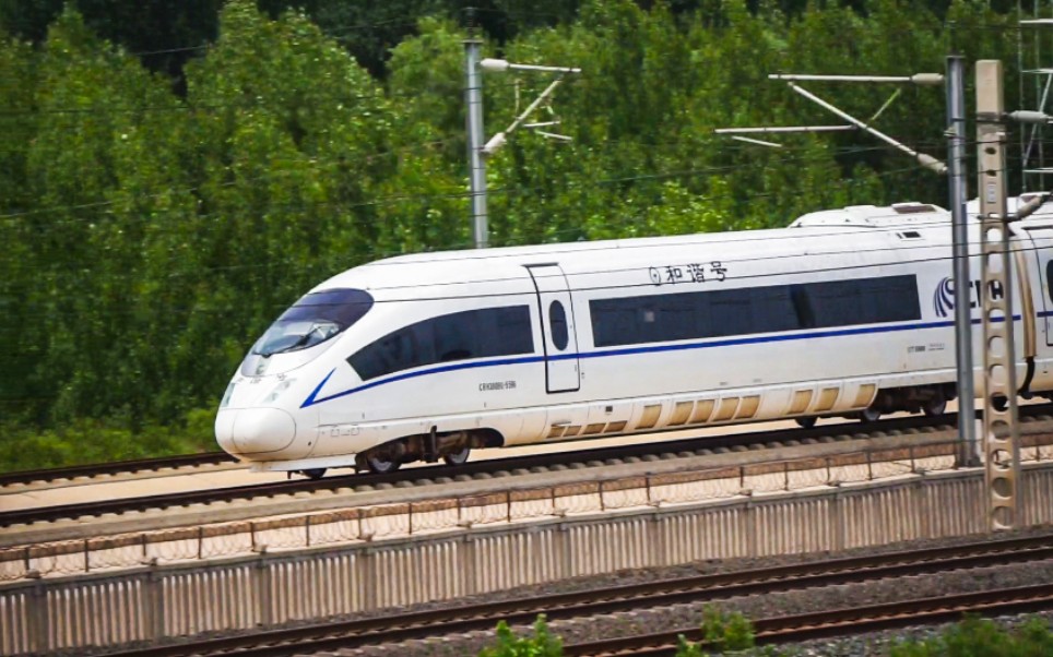 【和谐号】crh380bg担当g377次(大连北-北京南)高速驶过津秦高铁_哔哩