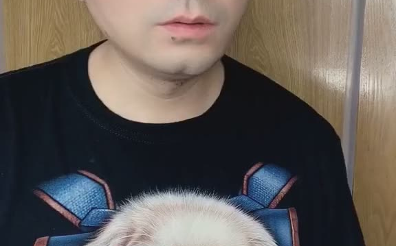 谁还敢当老吴的爱妃,鼠哥当了一天的爱妃就安息了!