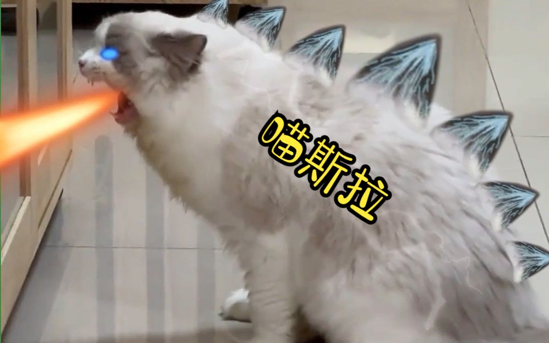 喵斯拉-bili_57503408050-默认收藏夹-哔哩哔哩视频