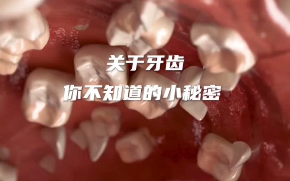 上颚竟然也能长满牙齿,你不知道的小秘密#涨知识#科普#人体