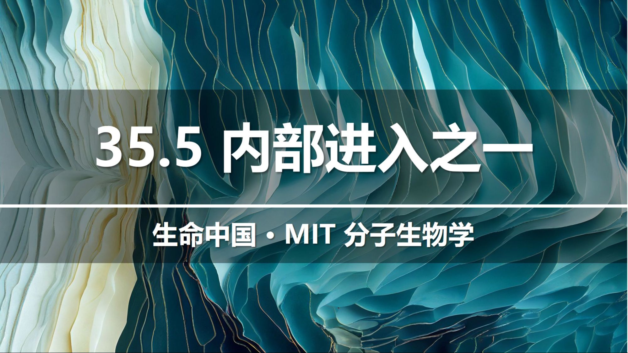 【分子生物学】35.5 内部核糖体进入位点概述  你有张良技我有过墙梯哔哩哔哩bilibili