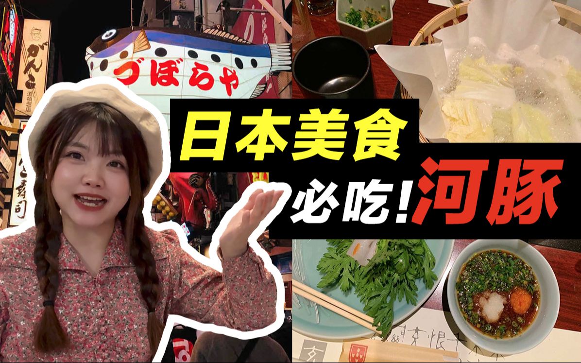 日本自由行|特色美食|河豚吃法|点餐方式|神秘"白子"|河豚处理|拼死吃